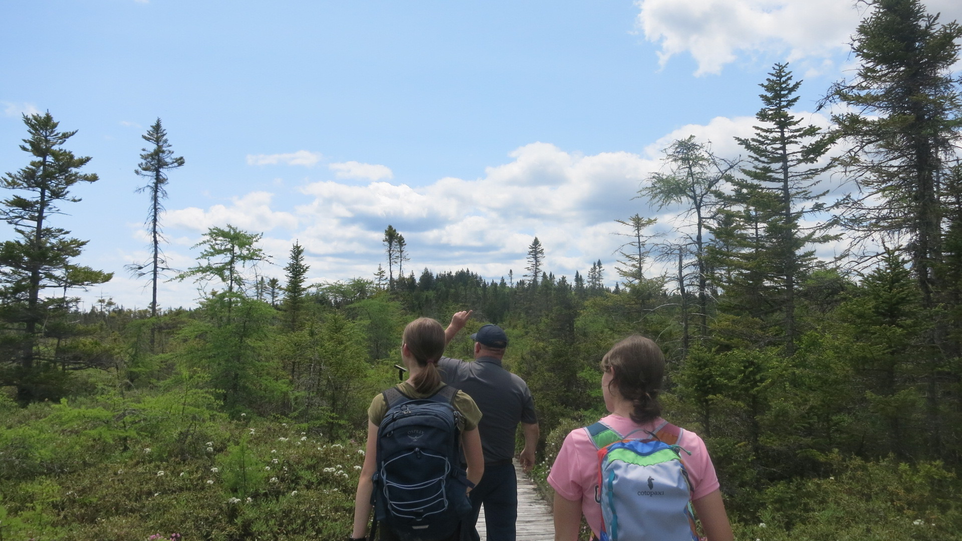 Students on a nature trail in Northern New England
