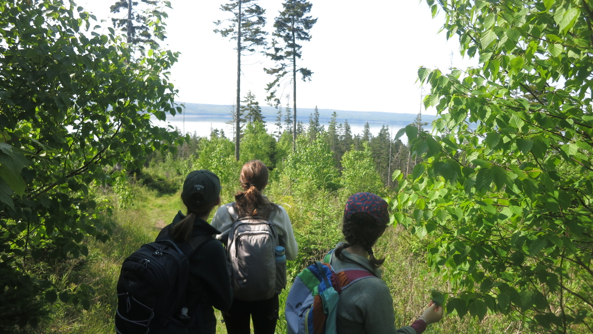 Students hiking through a forest toward a lake in Northern New England